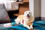 Aloft by Marriott Columbia Harbison