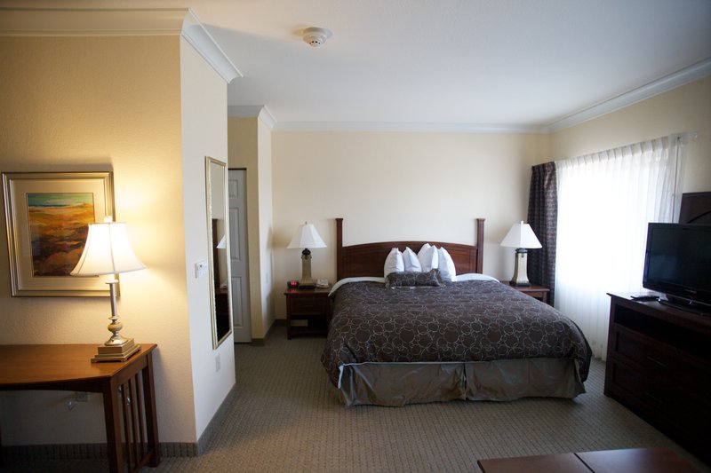 STUDIO SUITE WITH 1 QUEEN BED NONSMOKING