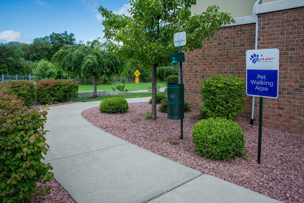 We are Pet Friendly!  Dog Walking Area