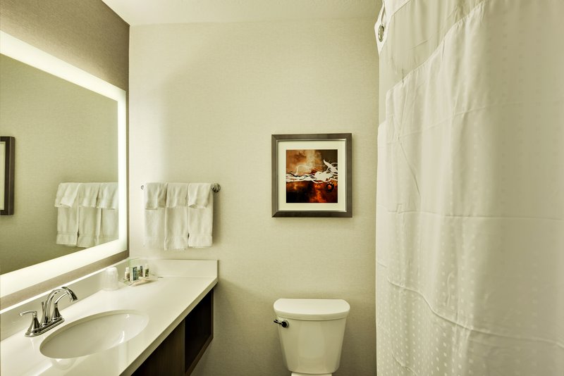 Holiday Inn ST. GEORGE CONV CTR