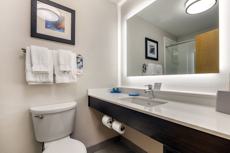 HOLIDAY INN EXPRESS METROPOLIS