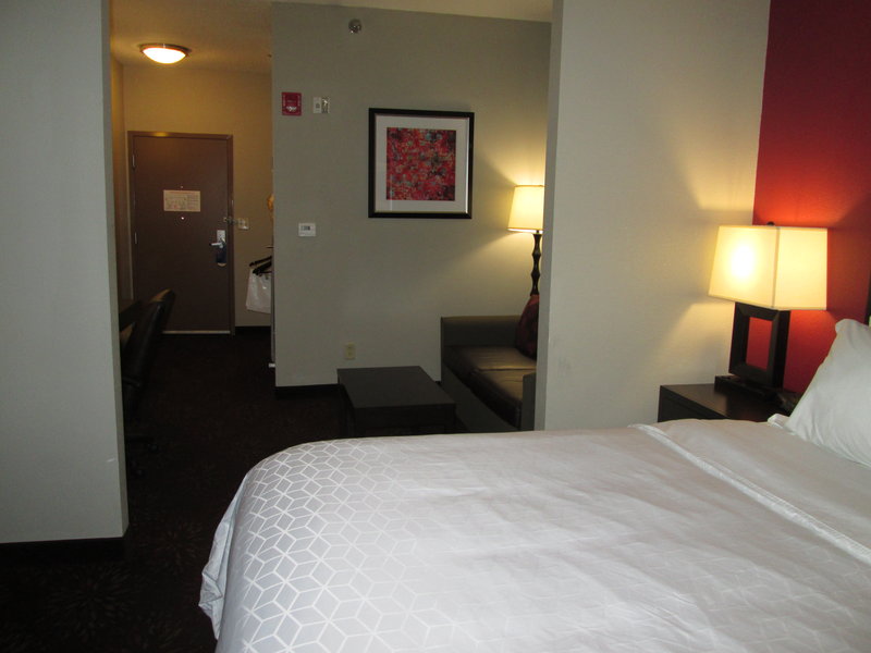 1 KING BED EXECUTIVE NONSMOKING