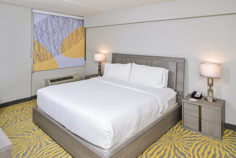 HOLIDAY INN SELECT RICHARDSON