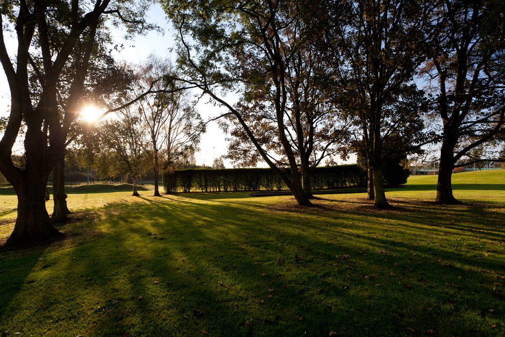 Take a stroll through our courtyard