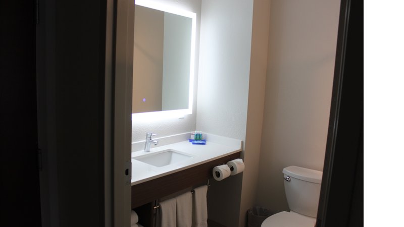 Holiday Inn Express and Suites Orlando South-Davenport