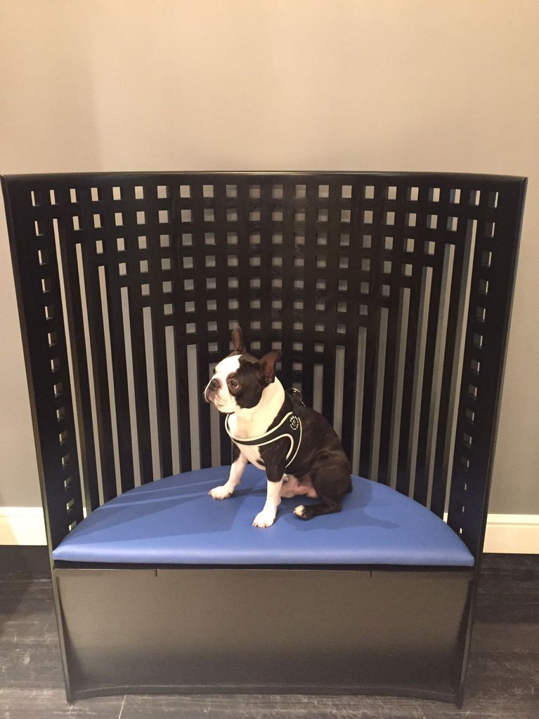 Guest photo