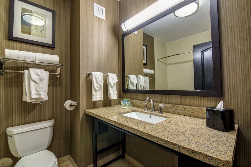 Holiday Inn : ARLINGTON NE-RANGERS BALLPARK