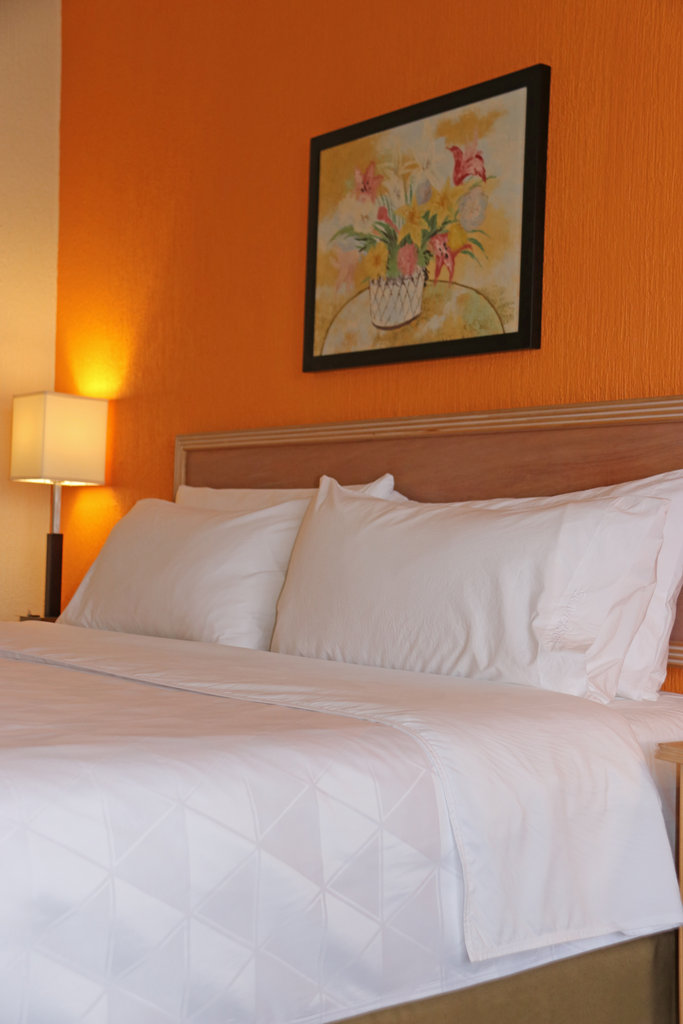 Holiday Inn LA PIEDAD Room Type - 1 King Standard