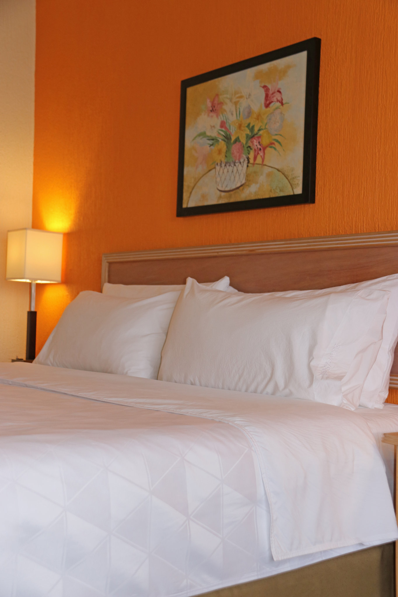 Holiday Inn LA PIEDAD Room Type - 1 King Standard