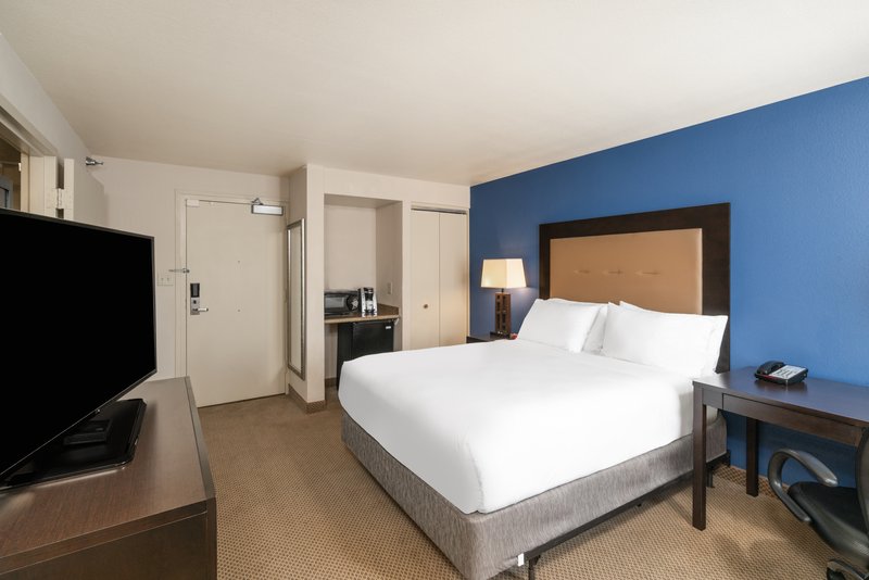 1 BED ACCESSIBLE ROLL IN SHWR NOSMK