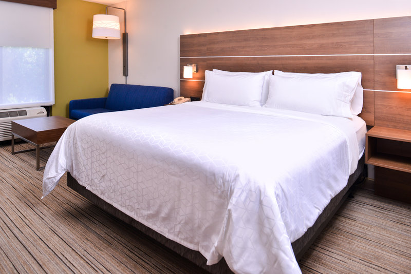 Holiday Inn Express and Suites Tampa-Anderson Rd/Veterans Exp
