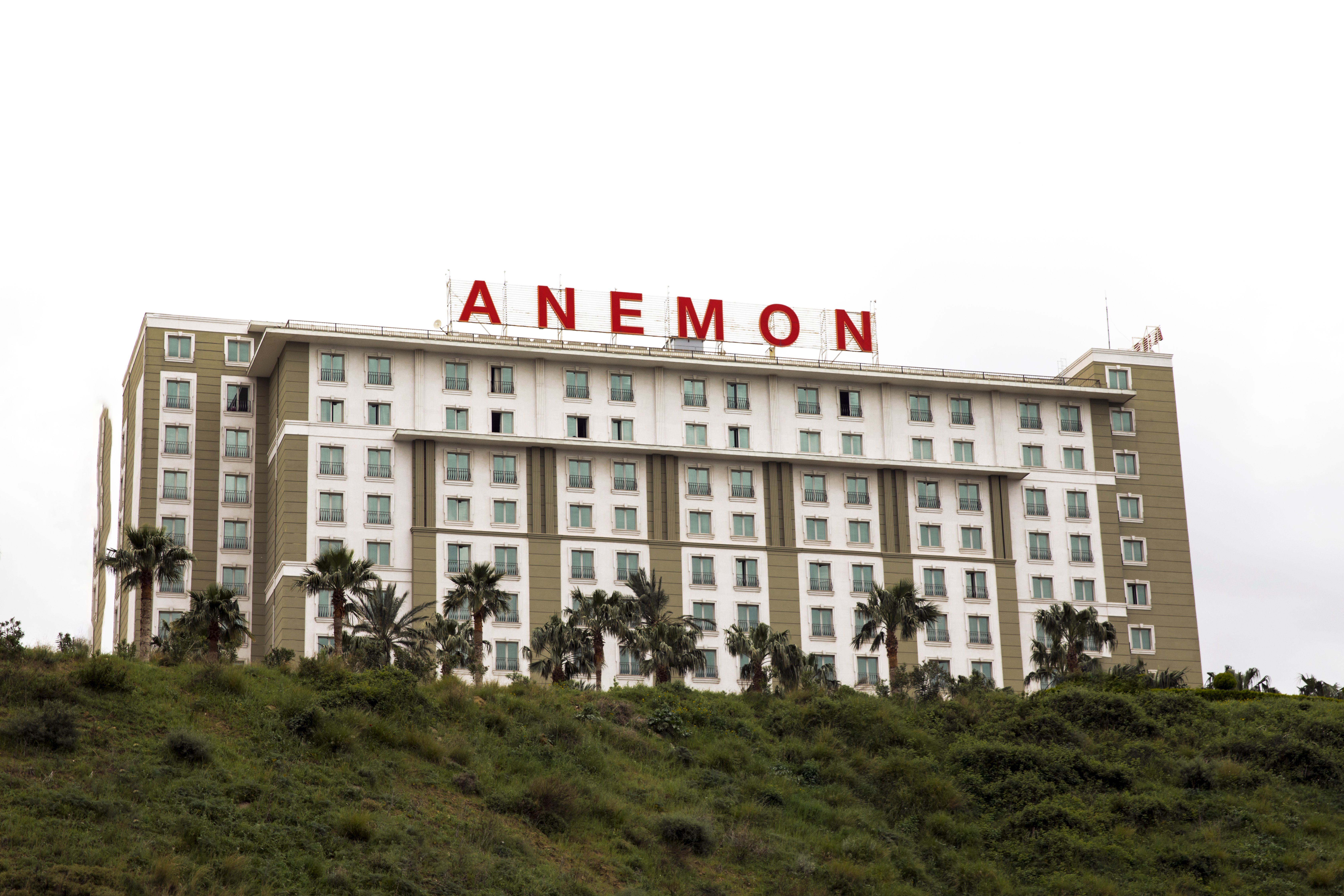 Anemon Iskenderun