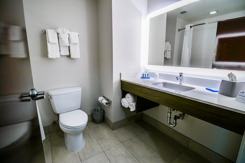HOLIDAY INN EXP STES PORT ALLE