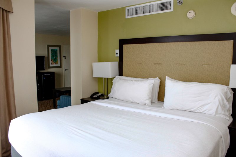 Holiday Inn Corpus Christi Downtown Marina