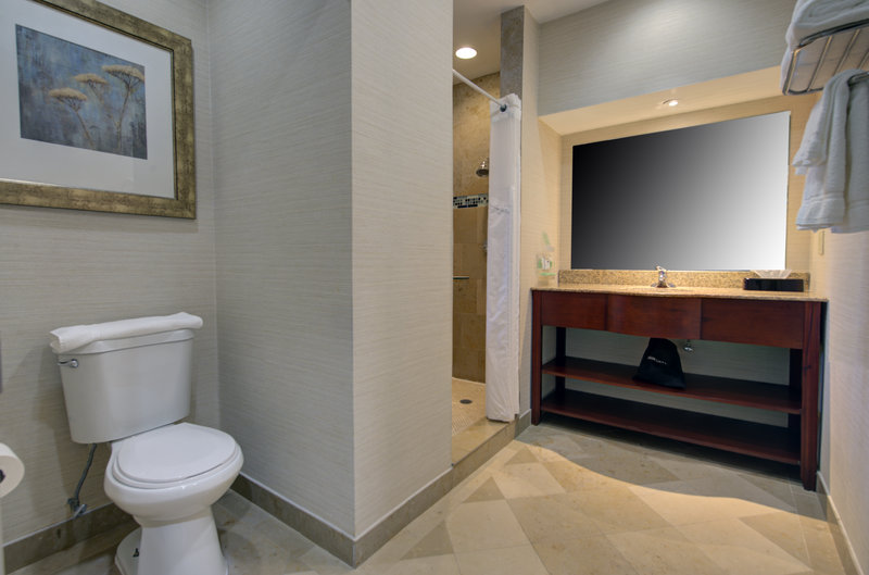 HOLIDAY INN PLAINVIEW