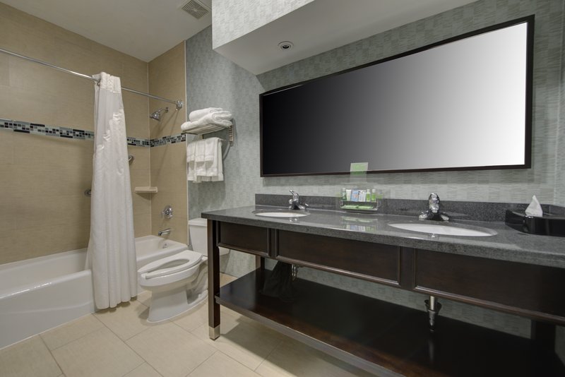 HOLIDAY INN PLAINVIEW