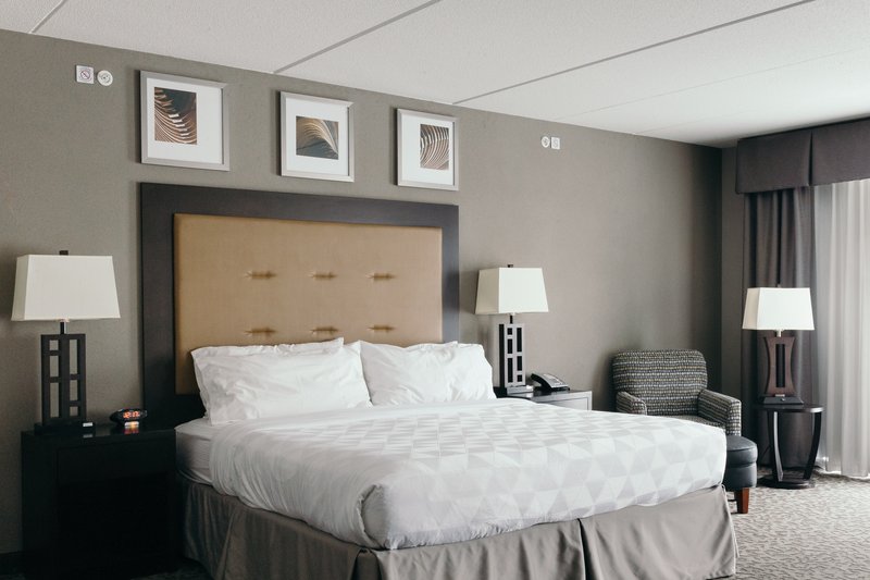 Holiday Inn Hotel and Suites East Peoria