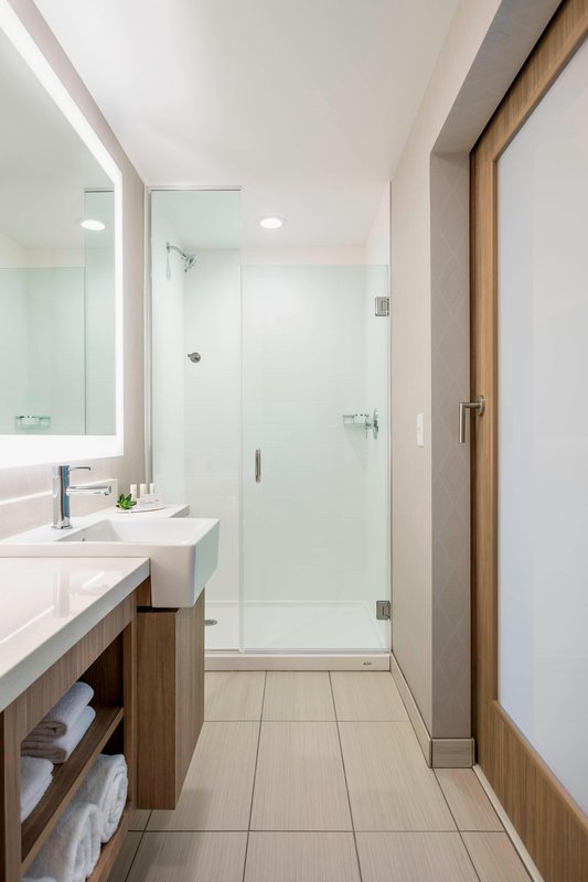 Guest Bathroom - Walk-In Shower