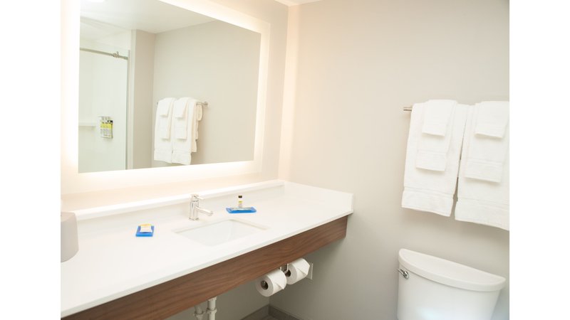 HOLIDAY INN EXP STES NORFOLK