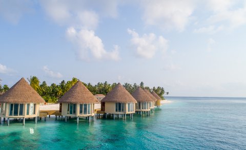Wellness-Center