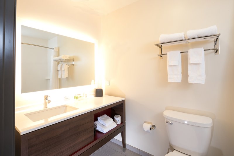 Holiday Inn Hotel and Suites Mount Pleasant