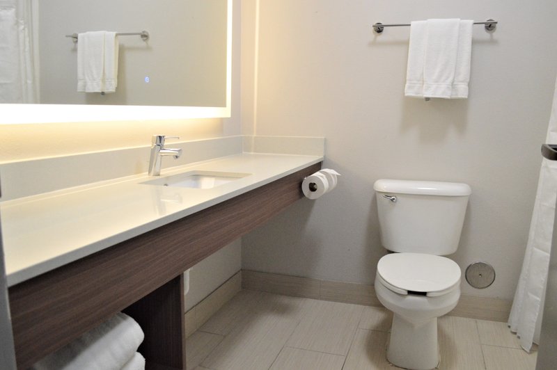 HOLIDAY INN EX STES BATESVILLE