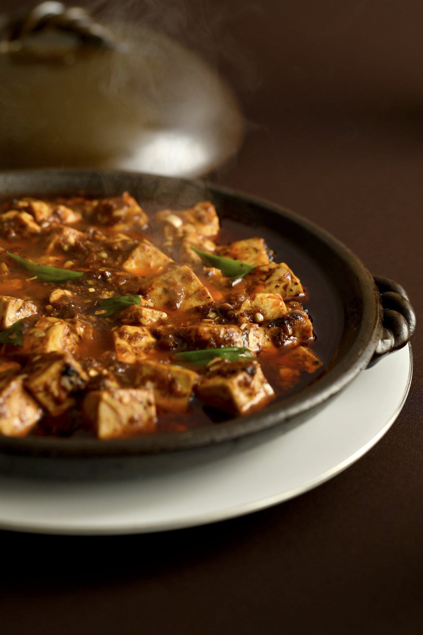 “Chen's Mapo Doufu”