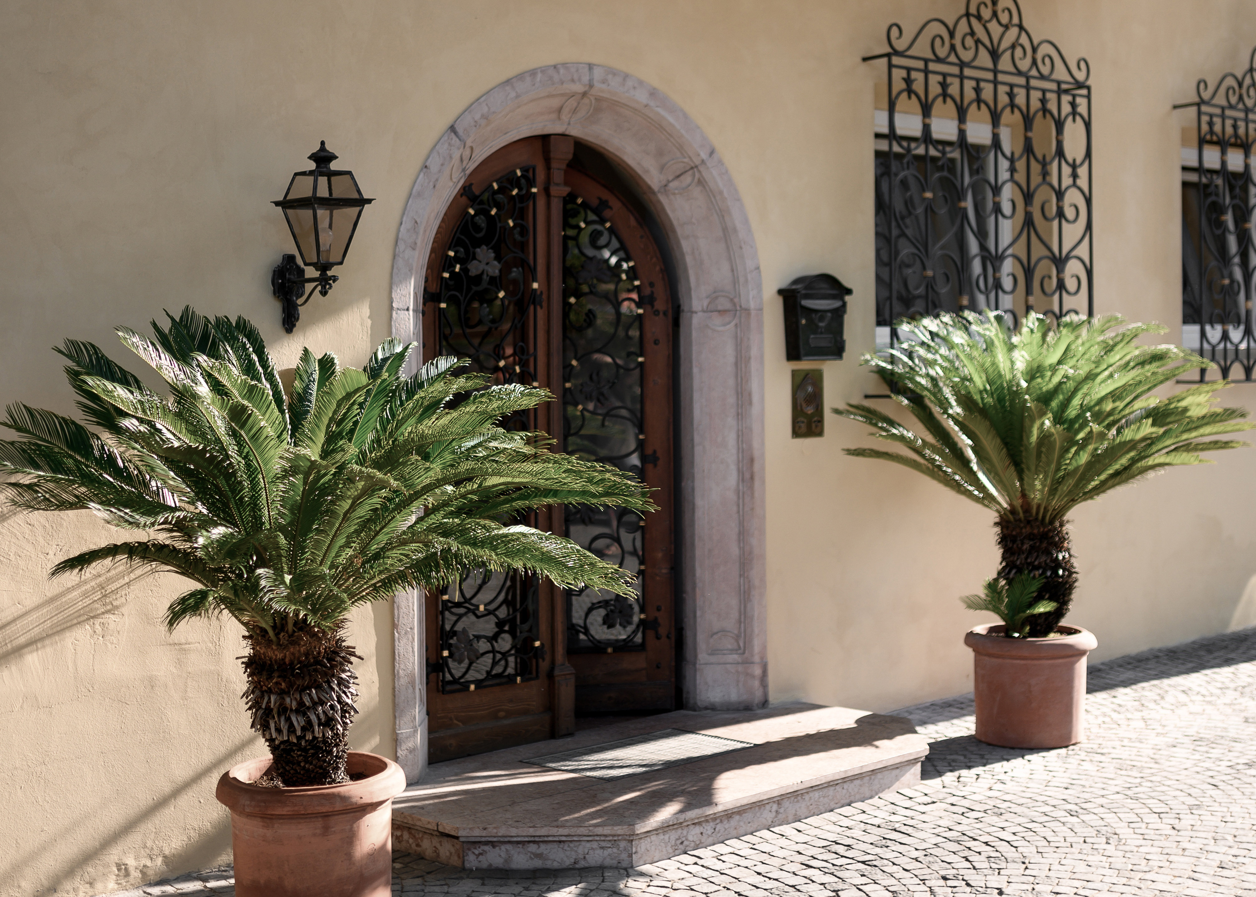 Villa Arnica Suites & Garden