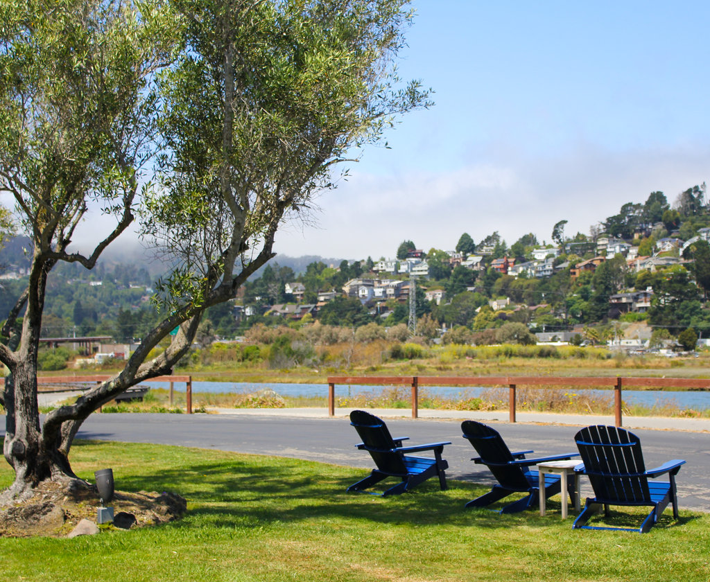 Welcome to beautiful, relaxing Mill Valley, CA