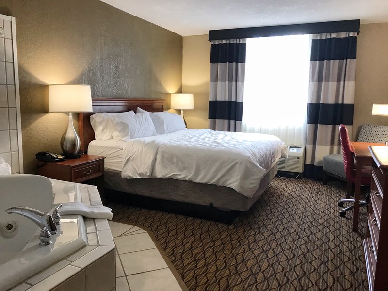 HOLIDAY INN ALEXANDRIA