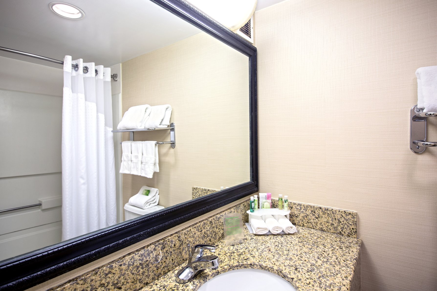 Holiday Inn Express Hotel & Suites Corinth Room Type - 1 King Bed One Bedroom Suite