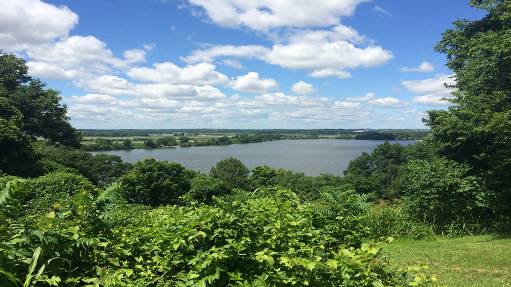 Area Attraction - Creve Coeur Park
