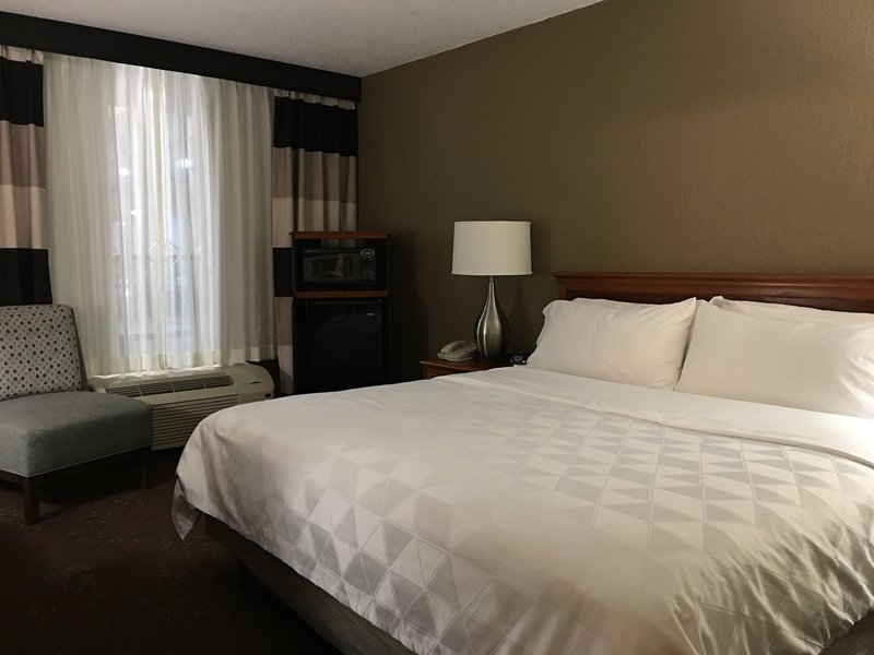 HOLIDAY INN ALEXANDRIA