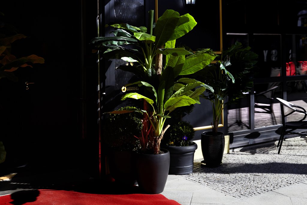 Guest photo