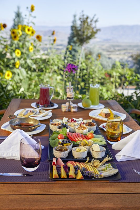Ariana Sustainable Luxury Lodge