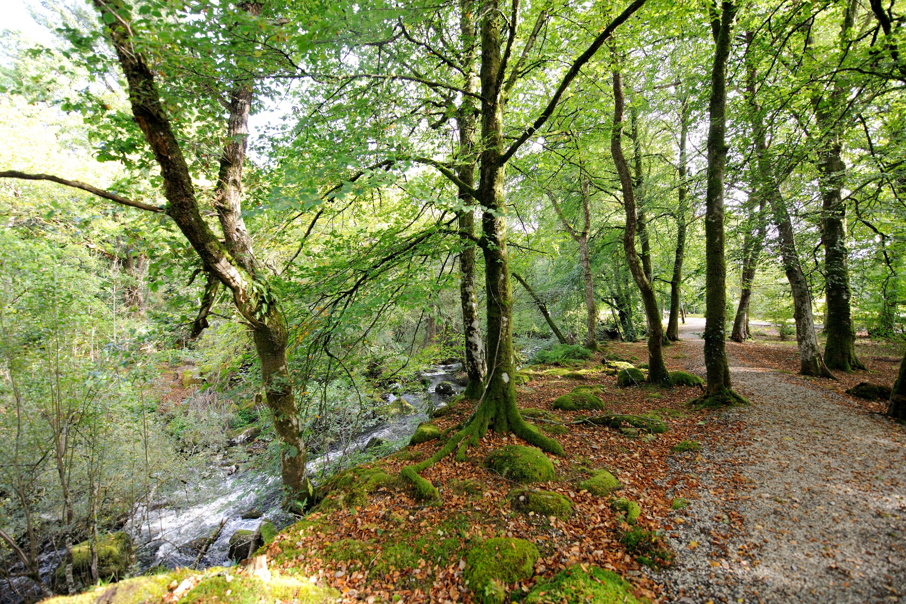 Gidleigh Park