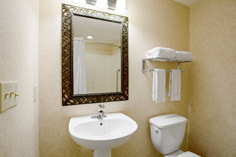 Holiday Inn Hotel and Suites Clearwater Beach S-Harbourside