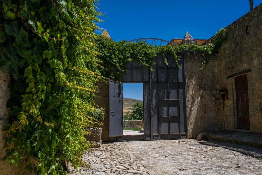 Guest photo