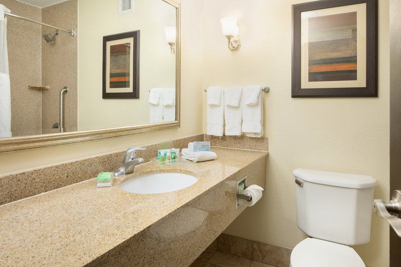 Holiday Inn Hotel & Suites CHARLESTON WEST