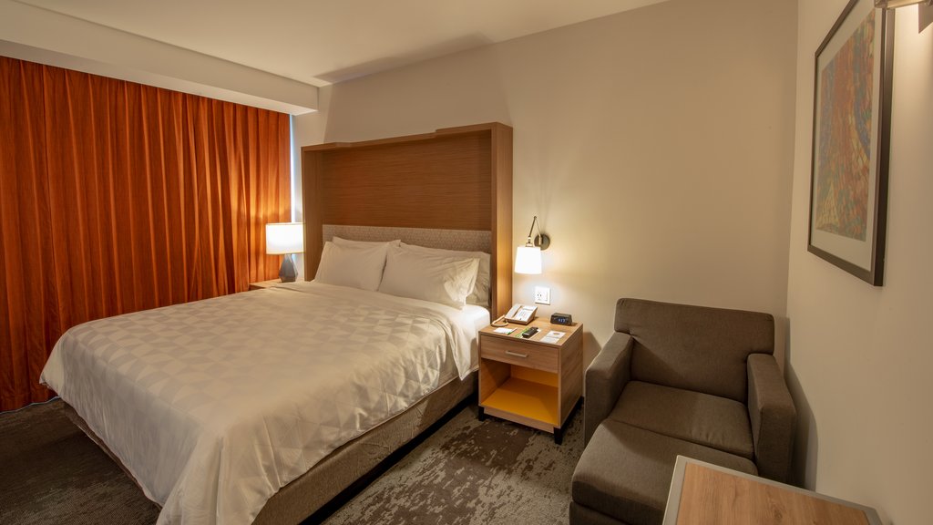 Holiday Inn & Suites - Merida La Isla Room Type - 1 King Standard
