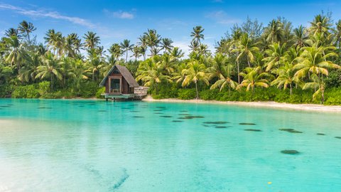 The Lagoonarium and Overwater Wedding Chapel