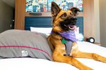 Aloft by Marriott Austin Downtown