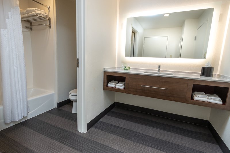 Holiday Inn & Suites Wolfchase Galleria