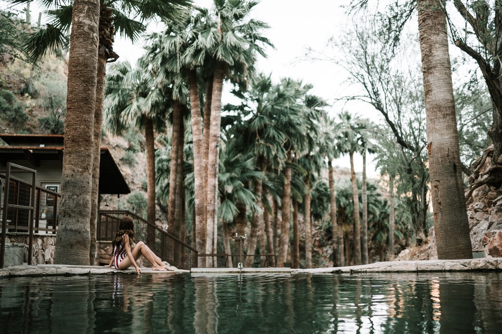 Guest photo