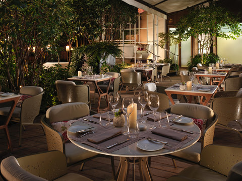 Restaurant Camélia Terrace