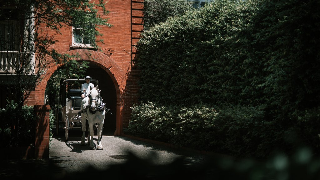 Guest photo