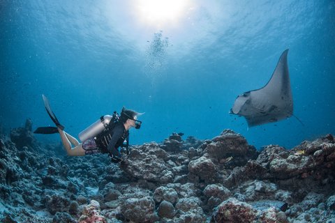 Diving