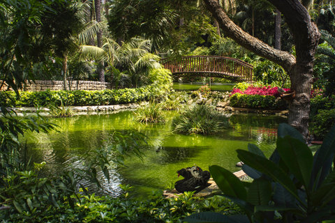 lago jardín