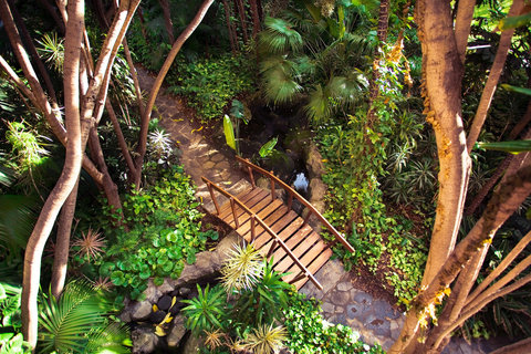 jardín