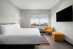 Suite, 1 King, Sofa bed